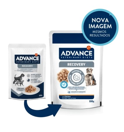 Advance Cão e Gato Húmidos Recovery