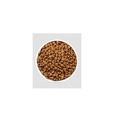 Ownat Gato ULTRA Mature Sterilised Fish