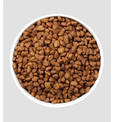 Ownat Gato ULTRA Ageing Fish