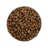 Ownat Cão Author Fresh Rooster