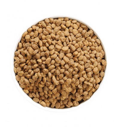 Ownat Gato Author Fresh Oily Fish & Poultry