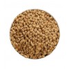 Ownat Gato Author Fresh Esterilizado Frango