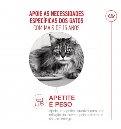 Royal Canin Ageing 15+, Gato, Seco, Sénior, Alimento/Ração
