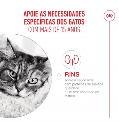 Royal Canin Ageing 15+, Gato, Seco, Sénior, Alimento/Ração