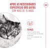 Royal Canin Ageing 15+, Gato, Seco, Sénior, Alimento/Ração