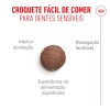 Royal Canin Ageing 15+, Gato, Seco, Sénior, Alimento/Ração