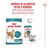 Royal Canin Ageing 15+, Gato, Seco, Sénior, Alimento/Ração