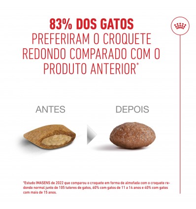 Royal Canin Ageing 15+, Gato, Seco, Sénior, Alimento/Ração