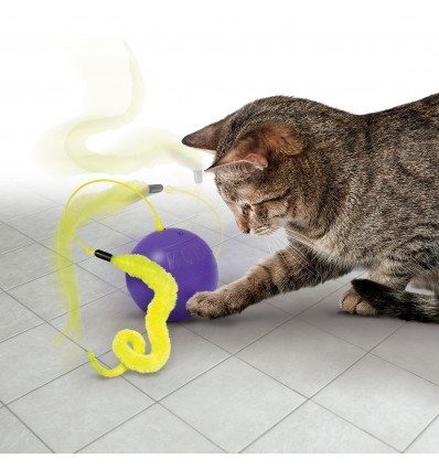 Kong Pursuit Whirlwind (CA455E)