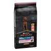 Purina Pro Plan Cão Puppy Large Athletic Sensitive Skin Salmão