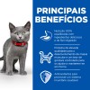 Hill's Science Plan Esterilizado Kitten Frango 12x85gr