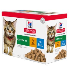 Hill's Science Plan Kitten Frango e Peixe do Oceano (Multipack) 12x85gr