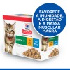Hill's Science Plan Kitten Frango e Peixe do Oceano12x85gr