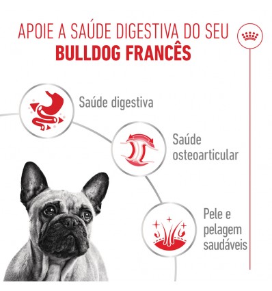 Royal Canin French Bulldog Adult, Cão, Húmidos, Adulto, Alimento/Ração