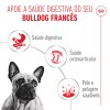 Royal Canin French Bulldog Adult, Cão, Húmidos, Adulto, Alimento/Ração