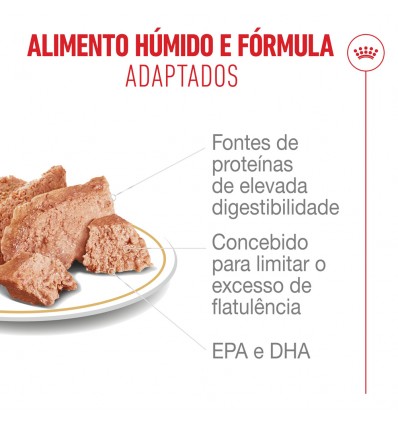 Royal Canin French Bulldog Adult, Cão, Húmidos, Adulto, Alimento/Ração