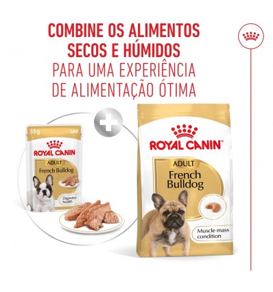 Royal Canin French Bulldog Adult, Cão, Húmidos, Adulto, Alimento/Ração