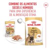 Royal Canin French Bulldog Adult, Cão, Húmidos, Adulto, Alimento/Ração
