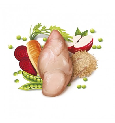 FRESH Cão Mediterranean Blend Senior Light