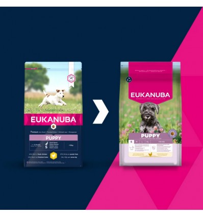 Eukanuba Cão Puppy Small Breed Frango