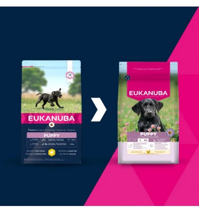 Eukanuba Cão Puppy Large