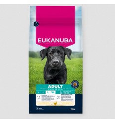 Eukanuba Cão Adulto Large Breed Frango