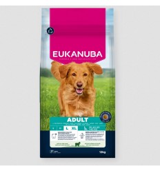 Eukanuba Cão Adulto Large Breed Borrego