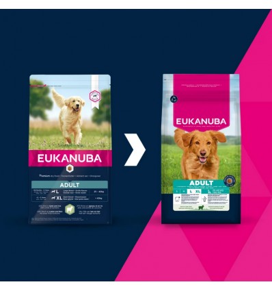 Eukanuba Adult Large Breed Borrego 12Kg