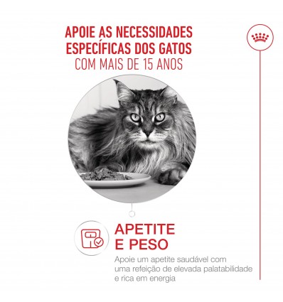 Royal Canin Ageing +15 (Mousse), Gatos, Húmidos, Sénior, Alimento