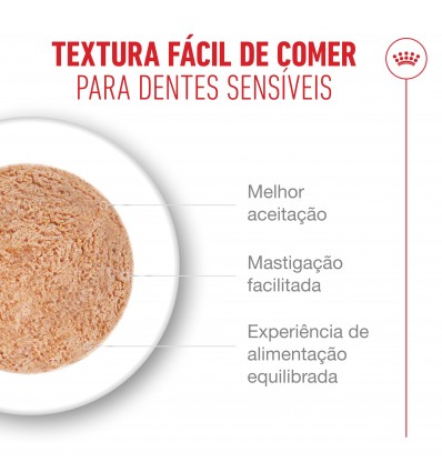 Royal Canin Ageing +15 (Mousse), Gatos, Húmidos, Sénior, Alimento