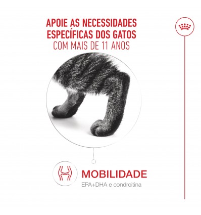 Royal Canin Ageing +11 (Mousse), Gatos, Húmidos, Sénior, Alimento