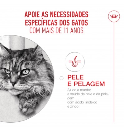 Royal Canin Ageing +11 (Mousse), Gatos, Húmidos, Sénior, Alimento