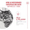 Royal Canin Ageing +11 (Mousse), Gatos, Húmidos, Sénior, Alimento