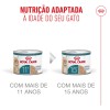 Royal Canin Ageing +11 (Mousse), Gatos, Húmidos, Sénior, Alimento