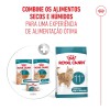 Royal Canin Ageing +11 (Mousse), Gatos, Húmidos, Sénior, Alimento