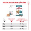 Royal Canin Ageing +11 (Mousse), Gatos, Húmidos, Sénior, Alimento