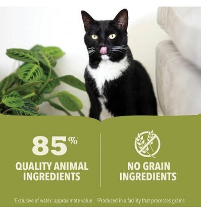 Acana Gato húmidos vaca