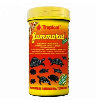 Tropical Gammarus