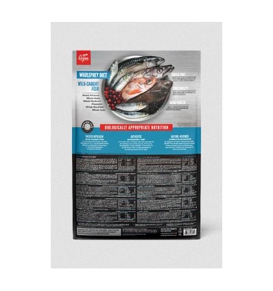 Orijen 6 Fish Cat & Kitten 5,4 kg 