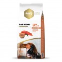 Amity Cão Super Premium (Low Grain) Mini Adulto Salmão