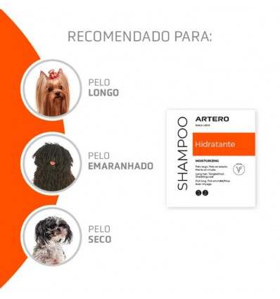 Champô Artero Hidratante 5lt