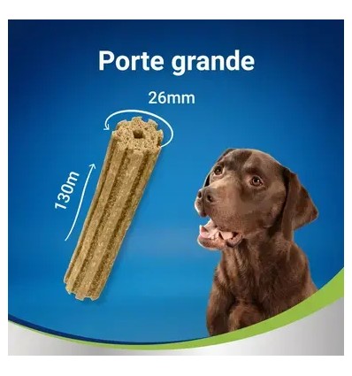 PURINA DentaLife Snack Large 25-40kg (maxi pack 12 sticks)