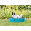 Piscina para Cães Trixie (80cm/20cm) (TX39481)