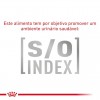 Royal Canin Veterinary Diet Cão Gastrointestinal Low Fat Small Dog