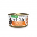 Schesir Gato Húmidos in jelly Atum com Cenoura