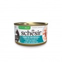 Schesir Gato Húmidos in jelly Atum com Charuteiro