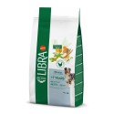 Libra Cão Sénior 7+