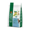 Libra Gato Kitten
