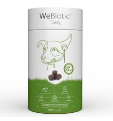 WeBiotic Tasty 30 Chews