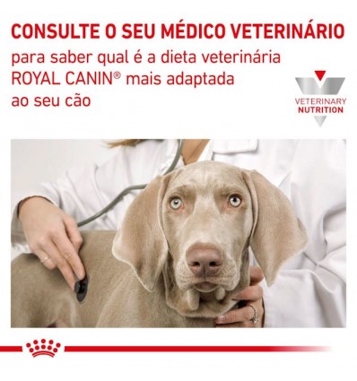 Royal Canin Veterinary Diet Cão Renal Small Dog